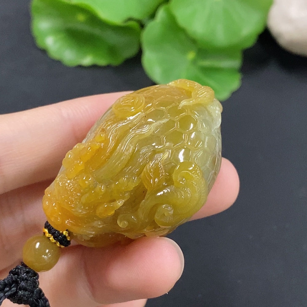 Jadeite Dragon-Turtle Pendant, color origin undetermined