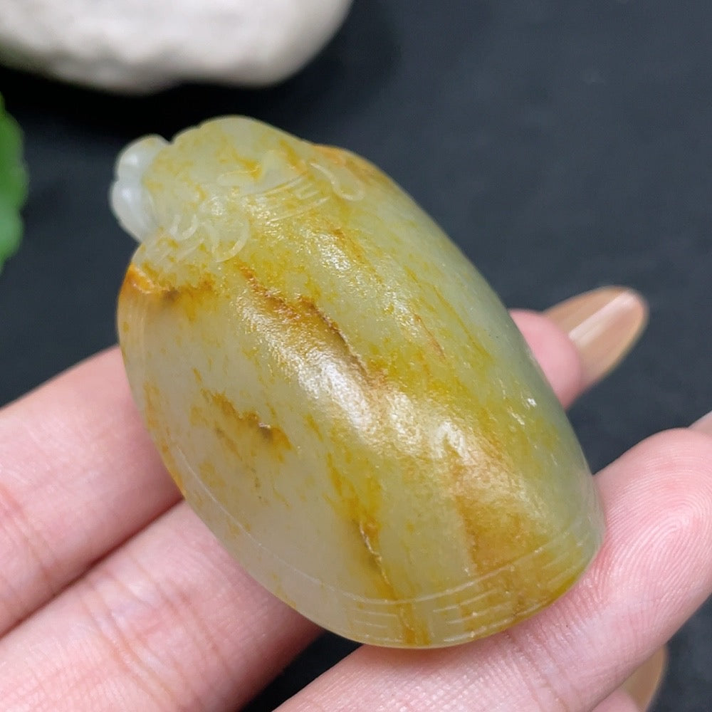 Hetian Jade Handheld Piece - Dragon Turtle, Undetermined Skin Color Formation, Approximately | Huiliu Certified