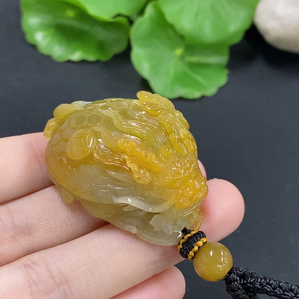 Jadeite Dragon-Turtle Pendant, color origin undetermined