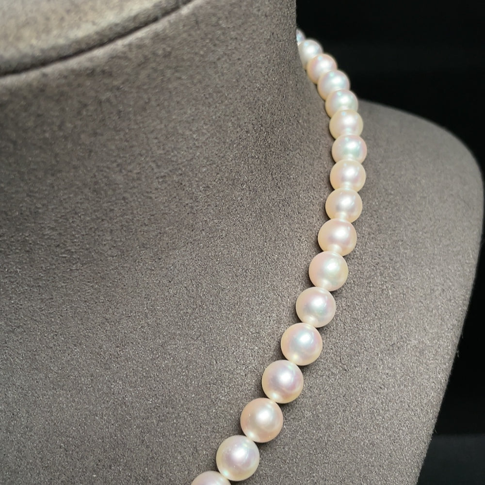 Seawater Pearl Necklace Non-Gold