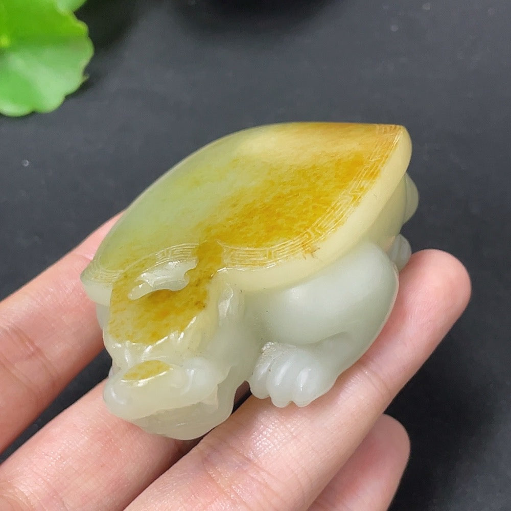 Hetian Jade Handheld Piece, Dragon Turtle, Undetermined Skin Color Origin