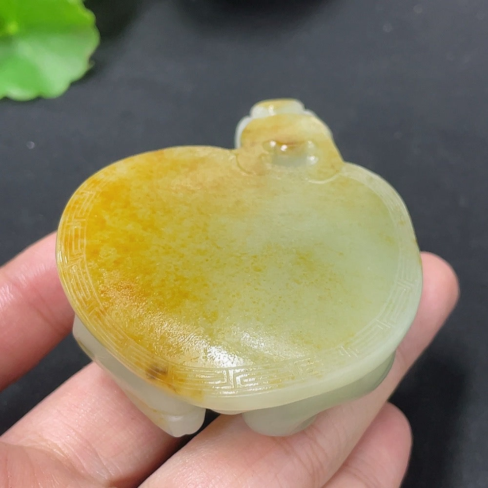 Hetian Jade Handheld Piece, Dragon Turtle, Undetermined Skin Color Origin