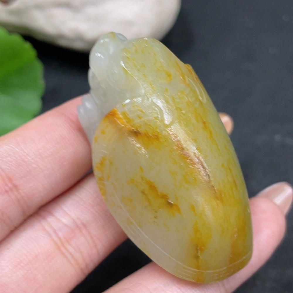 Hetian Jade Handheld Piece - Dragon Turtle, Undetermined Skin Color Formation, Approximately | Huiliu Certified