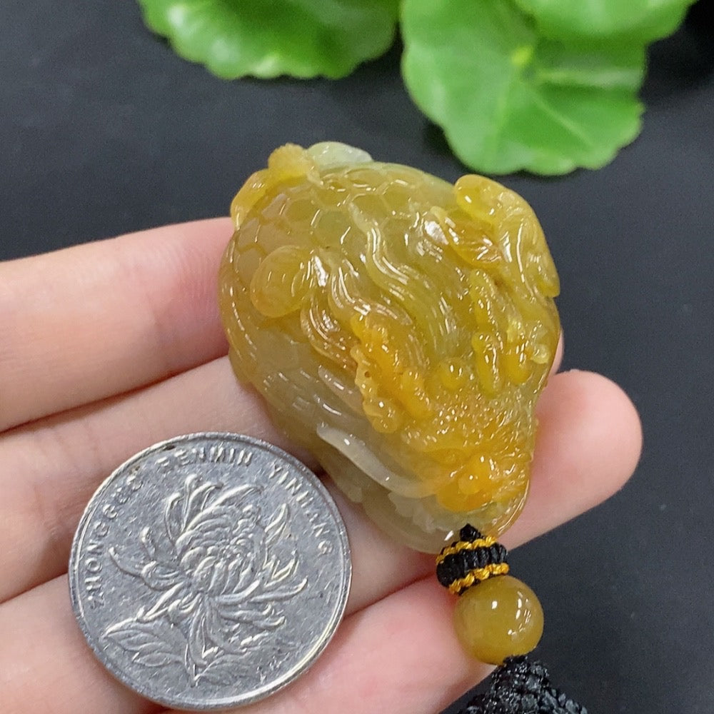 Jadeite Dragon-Turtle Pendant, color origin undetermined