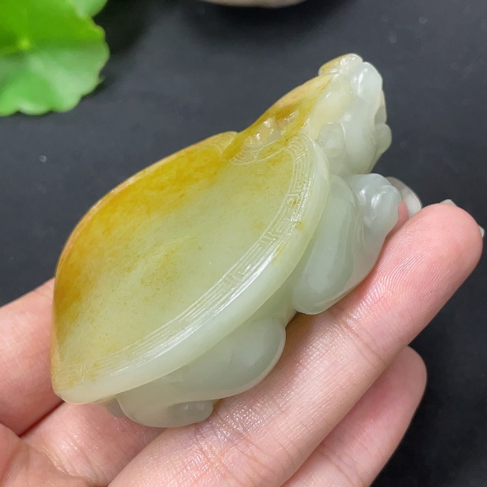 Hetian Jade Handheld Piece, Dragon Turtle, Undetermined Skin Color Origin