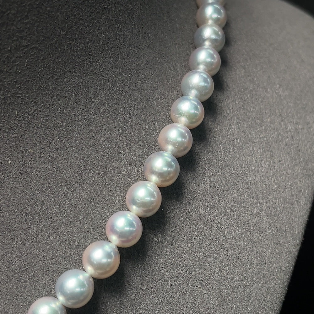 Seawater Pearl Strand Non-Gold Color Origin Undetermined