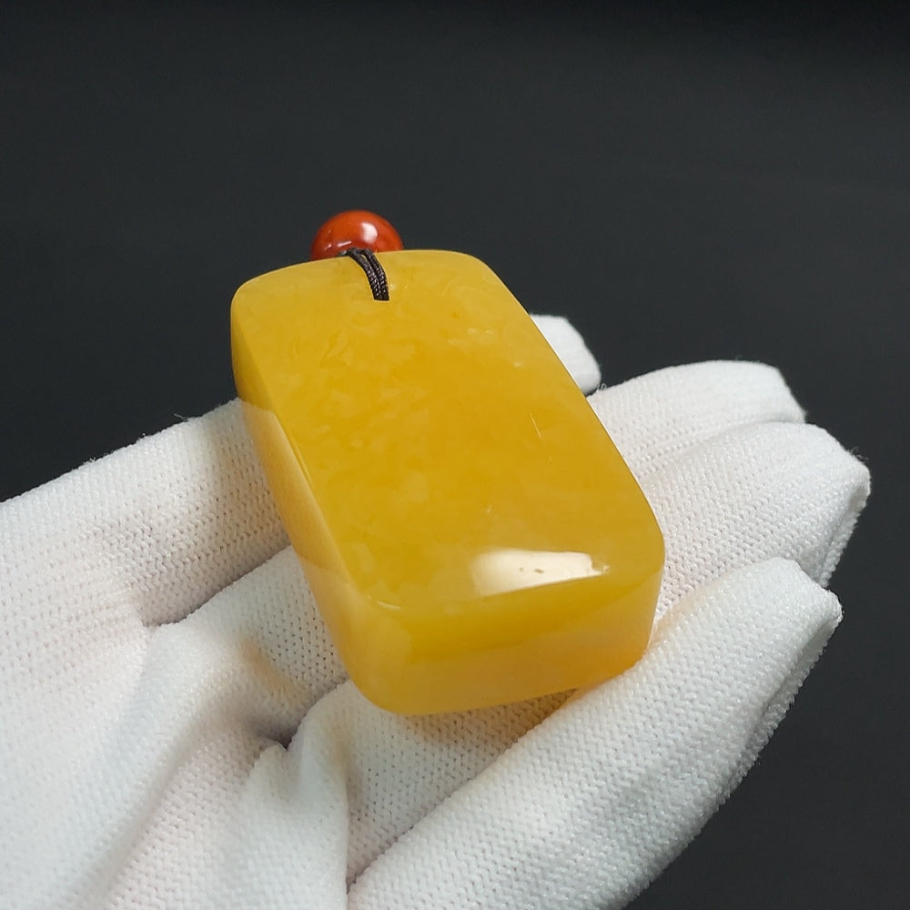 Amber beeswax pendant with southern red agate, visible organic matter, including rope