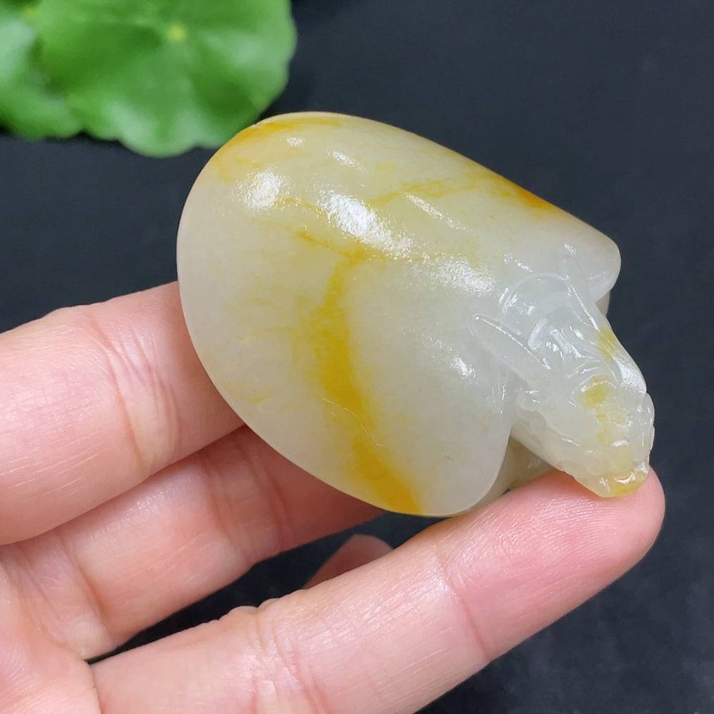 Huiliu Hetian Jade pendant featuring a dragon turtle design with undetermined skin color, crafted from high-quality jade.