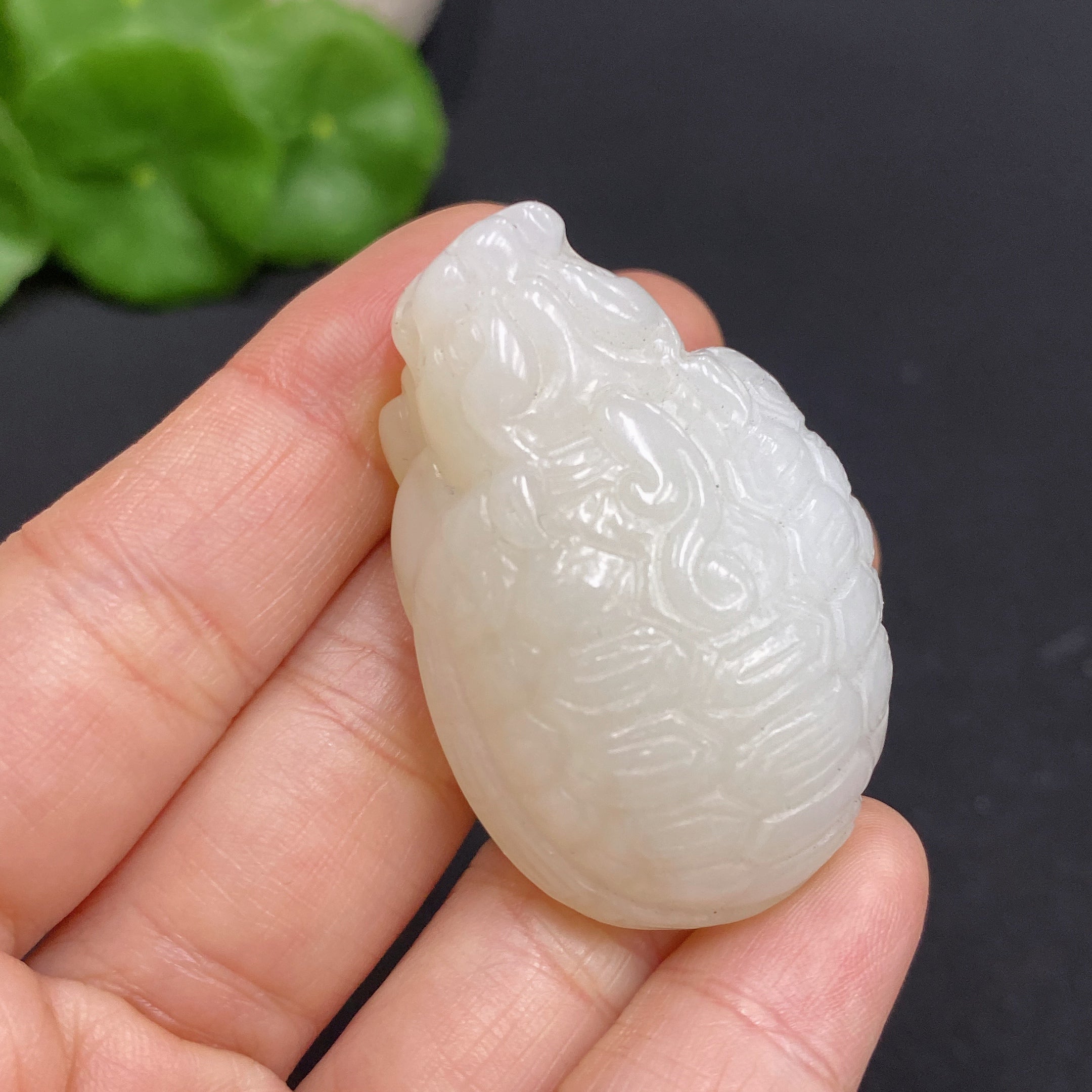 Hetian Jade Pendant    Dragon Turtle    Total Weight: Approx. 33.2g