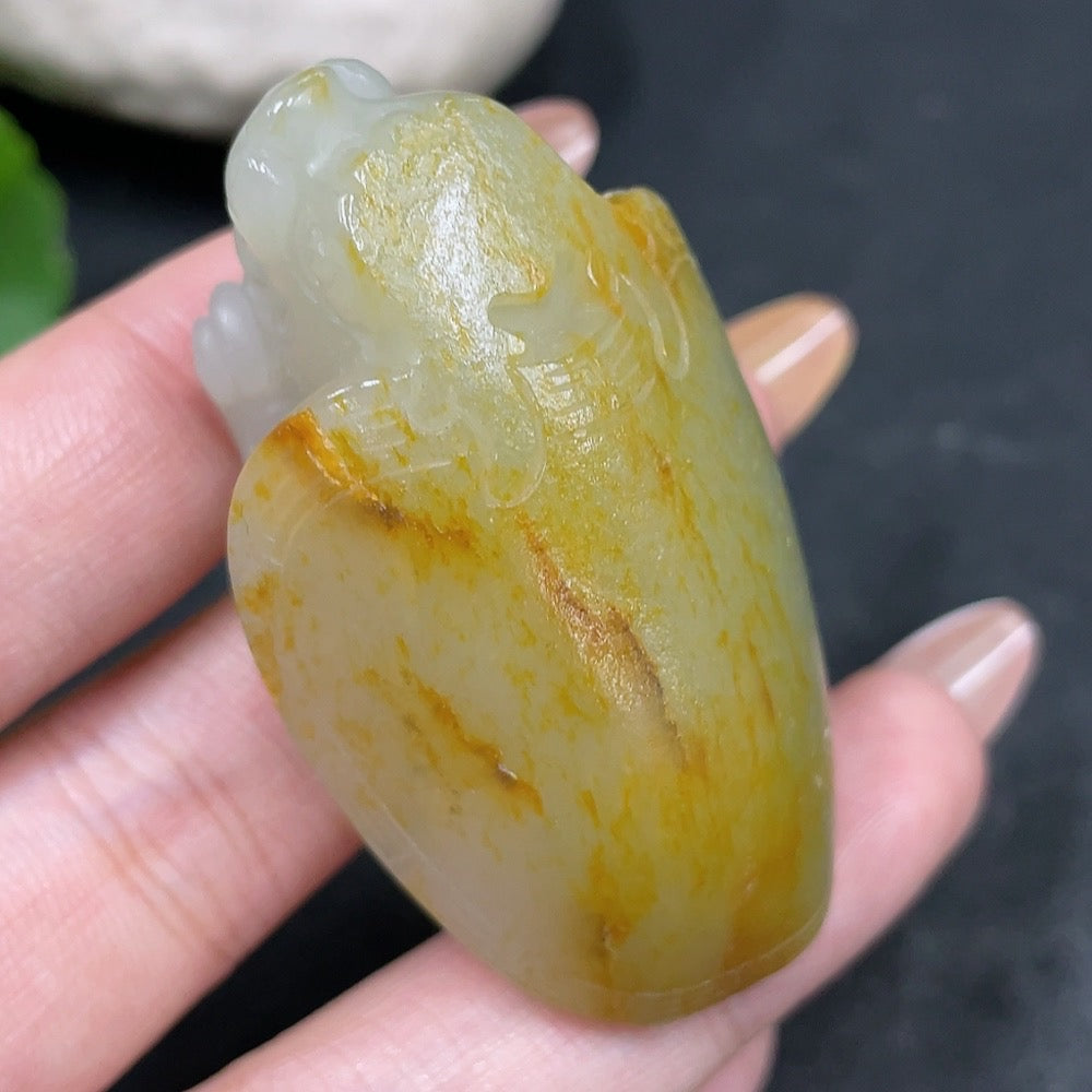 Hetian Jade Handheld Piece - Dragon Turtle, Undetermined Skin Color Formation, Total Weight Approximately 54.4g