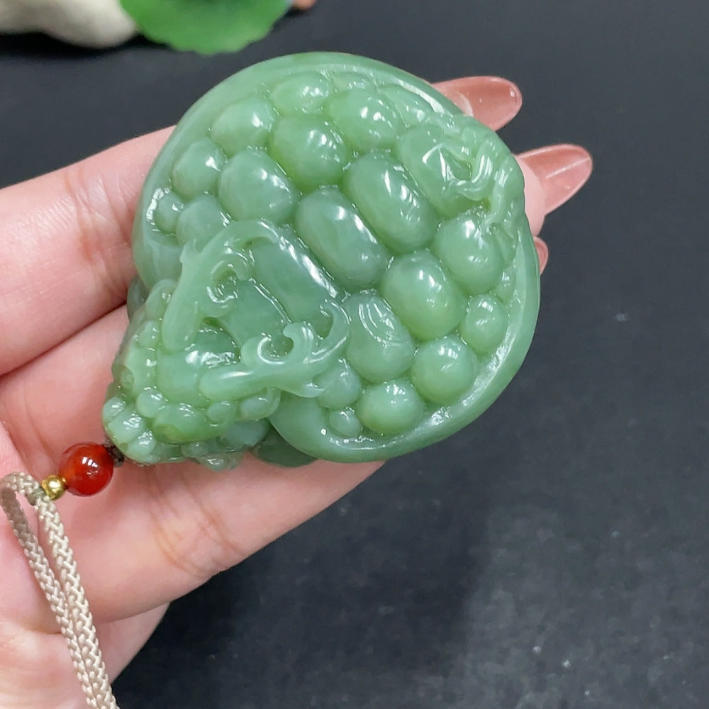 Huiliu HQ Hetian Jade pendant featuring a dragon turtle design, weighing approximately 67.5g with rope for jewelry or display.