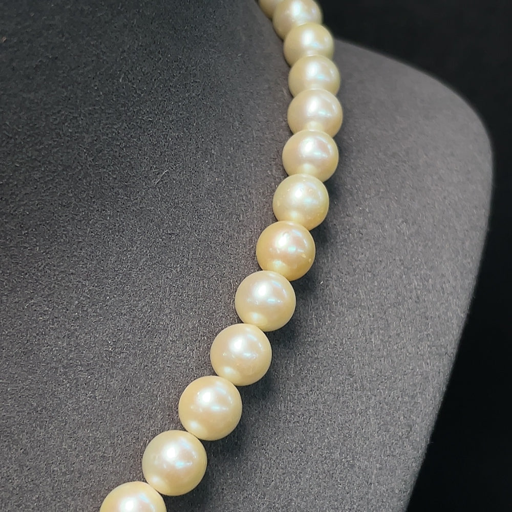Saltwater Pearl Necklace Color Origin Undetermined Non-Gold