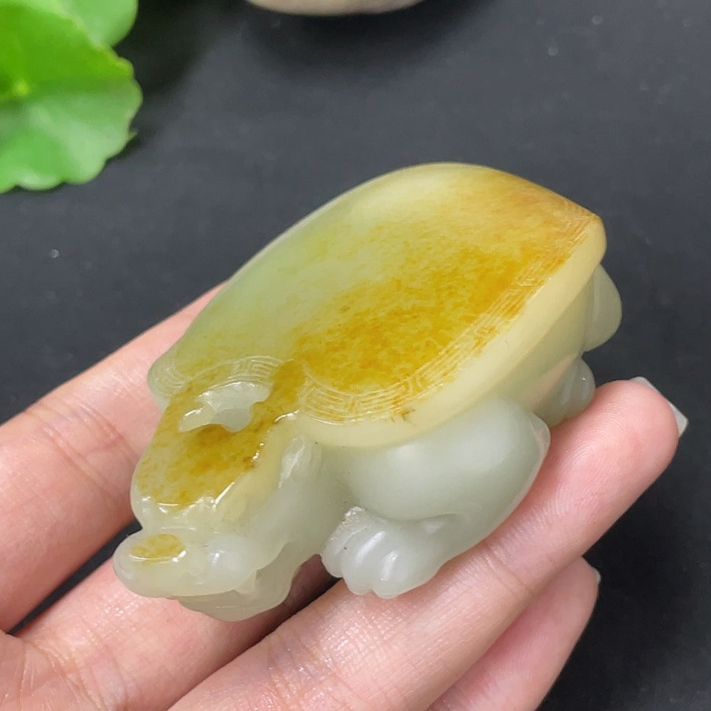 Hetian Jade Handheld Piece, Dragon Turtle, Undetermined Skin Color Origin