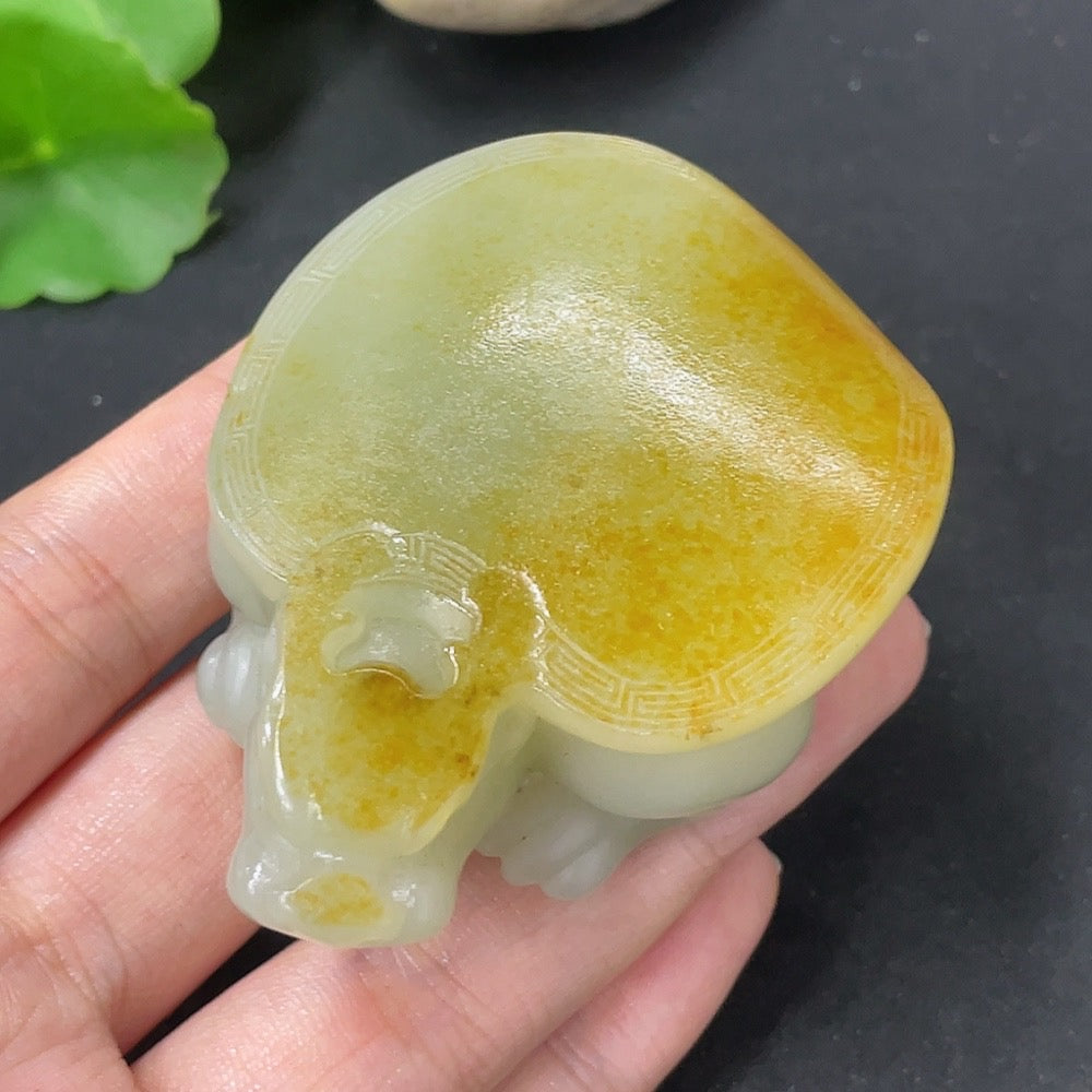 Hetian Jade Handheld Piece, Dragon Turtle, Undetermined Skin Color Origin