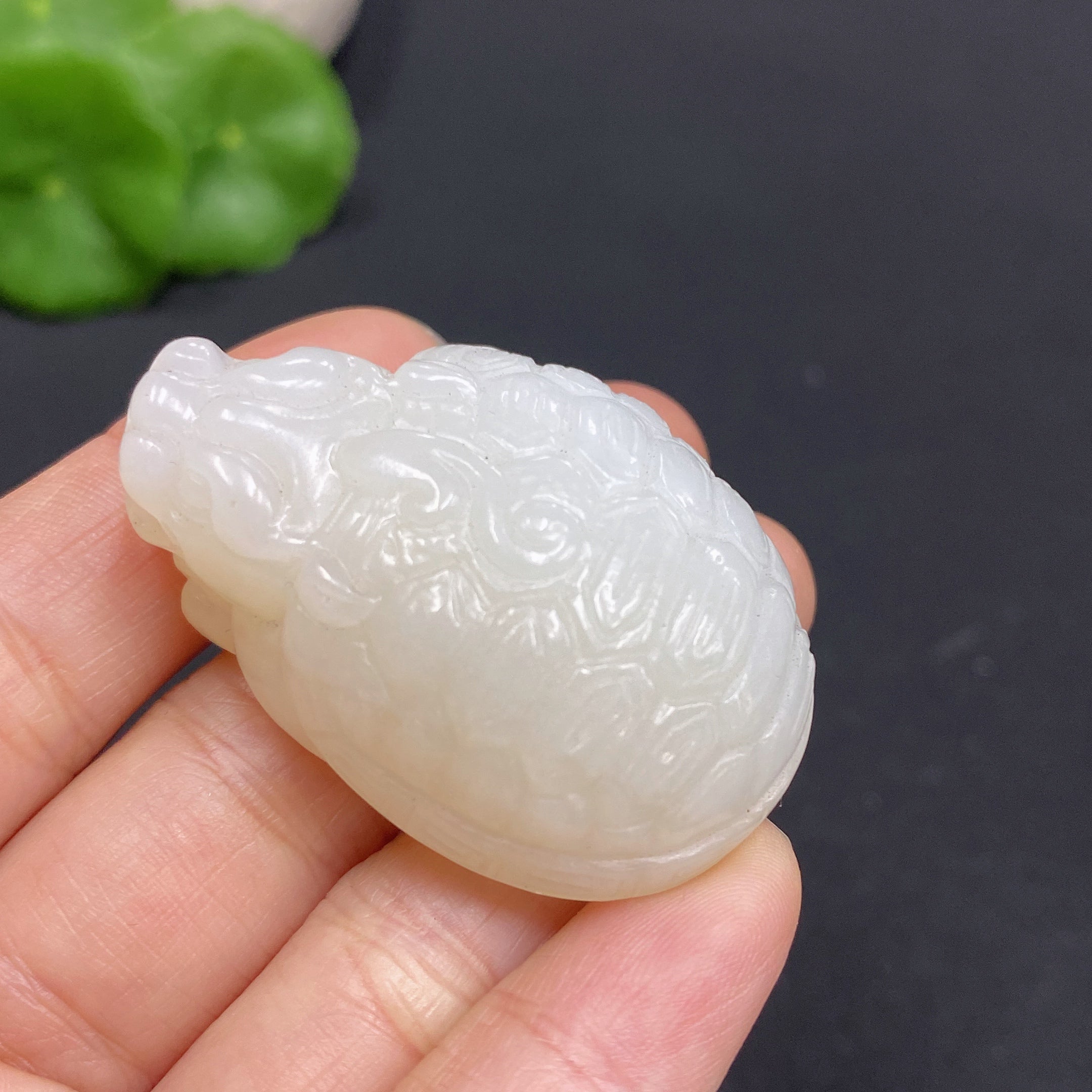 Hetian Jade Pendant    Dragon Turtle    Total Weight: Approx. 33.2g